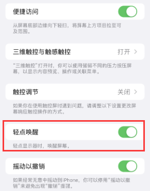 滨城苹果授权维修站分享iPhone轻点无法唤醒怎么办