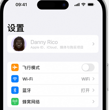 滨城appleID维修服务iPhone设置中Apple ID显示为灰色无法使用 