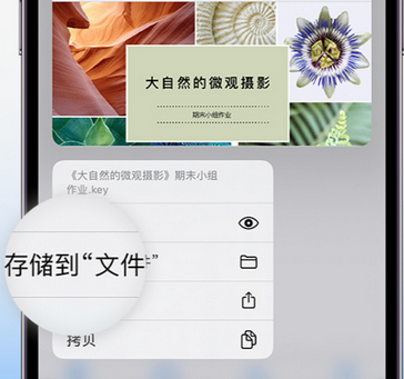 滨城apple维修中心分享iPhone文件应用中存储和找到下载文件