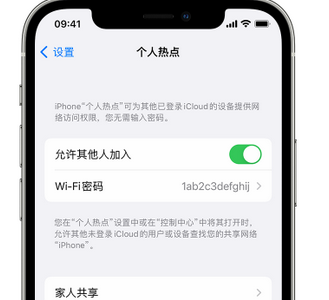 滨城apple服务站点分享iPhone上个人热点丢失了怎么办