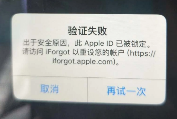 滨城iPhone维修分享iPhone上正常登录或使用AppleID怎么办 