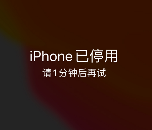 滨城苹果手机维修分享:iPhone 显示“不可用”或“已停用”怎么办？还能保留数据吗？ 