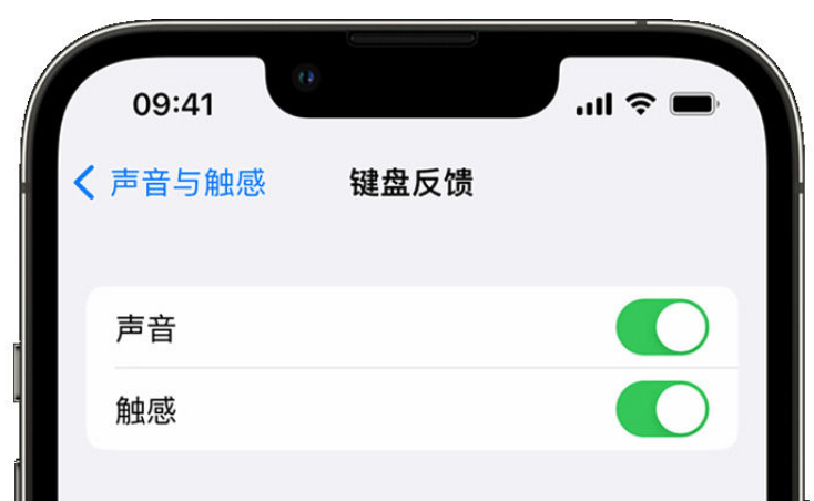 滨城苹果手机维修分享iPhone 14触感键盘使用方法 