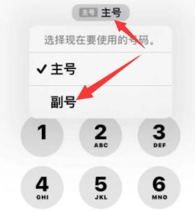 滨城苹果14维修店分享iPhone 14 Pro Max使用副卡打电话的方法 