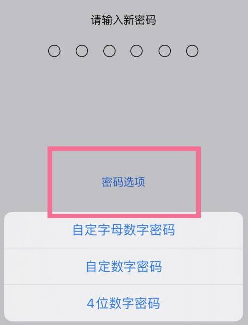 滨城苹果14维修分享iPhone 14plus设置密码的方法 