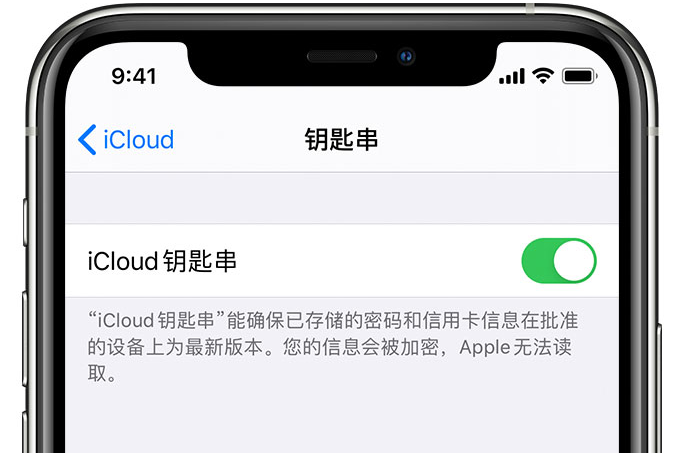 滨城苹果手机维修分享在 iPhone 上开启 iCloud 钥匙串之后会储存哪些信息 