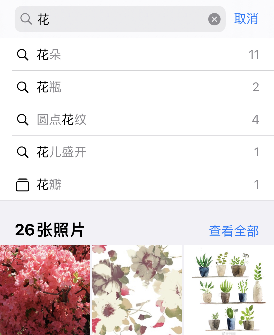 滨城苹果手机维修分享iPhone 小技巧 