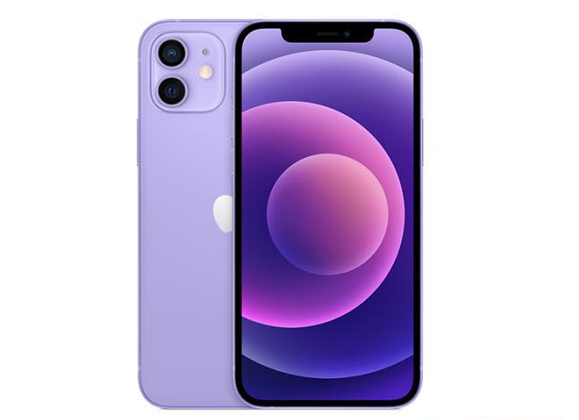 滨城苹果手机维修分享现阶段要不要入手紫色版iPhone12 