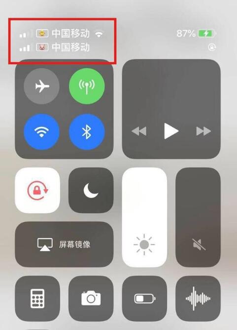 滨城苹果手机维修分享为 iPhone 12 双卡设置标签 