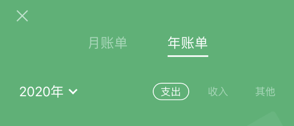 滨城苹果手机维修分享如何在 iPhone 上查看支付宝和微信年支出账单 