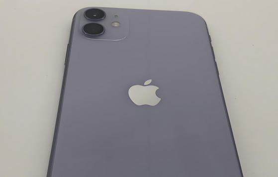 滨城苹果11系统维修分享iPhone11手机系统崩溃无法开机如何解决 